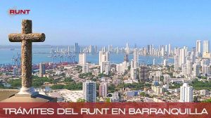 runt barranquilla
