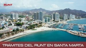 runt santa marta