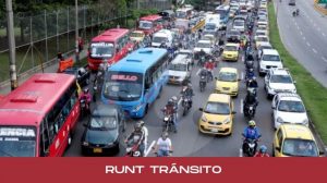 runt transito